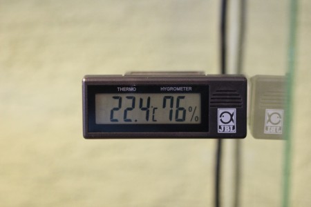 Vlhkosť 3.1.2015 L.parahybana